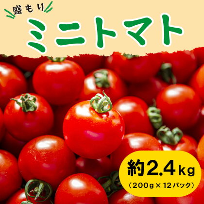 ミニトマト トマト 大容量 2.4kg 小分け 200g 12パック