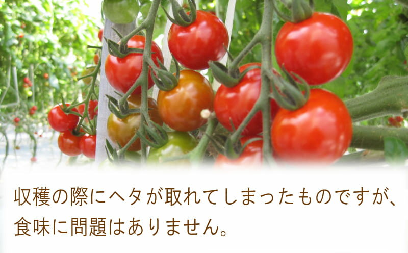 【ふるさと納税】 野菜 訳あり 規格外 ミニトマト トマト ヘタなし 約 2kg