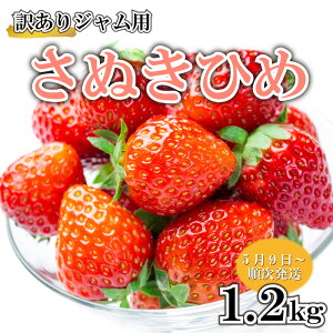【ふるさと納税】 訳あり いちご 苺 美味しい さぬきひめ ジャム ジャム用 1.2kg