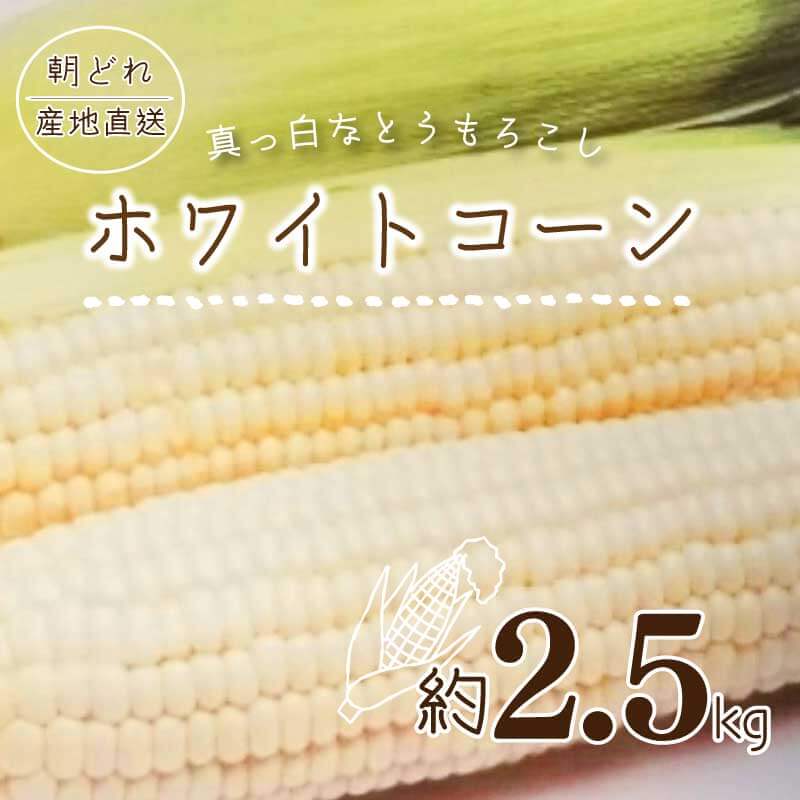 返礼品説明 名称 【ふるさと納税】ホワイトコーン 内容量 ホワイトコーン 約2.5kg 最終加工地 香川県さぬき市 消費期限 記載事項特になし 保存方法 冷蔵 返礼品説明 その名の通り真っ白なとうもろこし 他の品種と比べるとやや小ぶりですが、粒がとっても柔らかく、強い甘みが特徴です。 朝に収穫したものを、その日のうちに発送します。 鮮度の良いうちは生でも食べられます。 区域内で生産されたものです。 配送について 2024年6月上旬～2024年7月上旬の間で順次発送 ※配送日の指定は致しかねます。ご了承ください。 ・ふるさと納税よくある質問はこちら ・寄附申込みのキャンセル、返礼品の変更・返品はできません。あらかじめご了承ください。