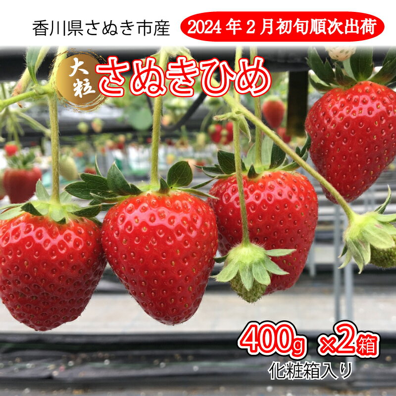 【ふるさと納税】 いちご 苺 さぬきひめ 400g 化粧箱 ×2箱 2月以降発送