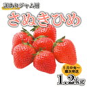 13位! 口コミ数「9件」評価「4.67」 訳あり いちご 苺 ジャム用 さぬきひめ 1.2kg