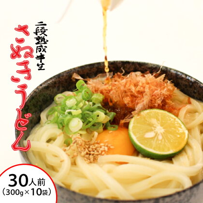 うどん さぬきうどん 30人前 300g 10パック 二段熟成 半生