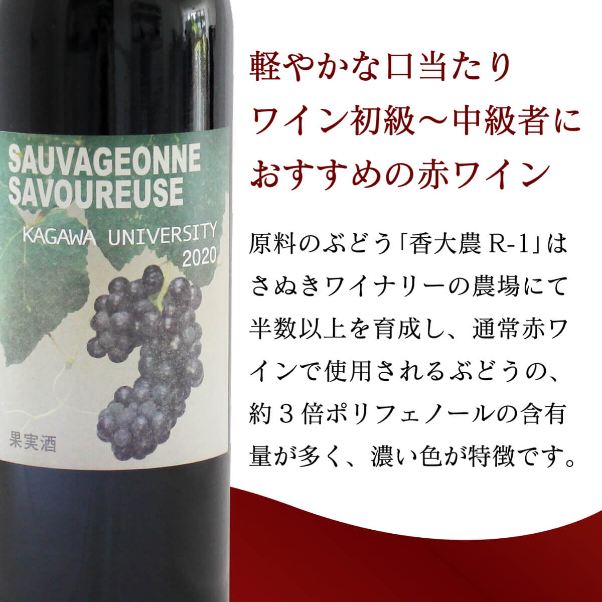 【ふるさと納税】ワイン 赤ワイン 2年代分 ソヴァジョーヌ・サヴルーズ 飲み比べ12本セット 飲み比べ