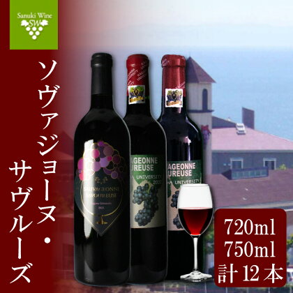 赤ワイン 12本 セット 飲み比べ 国産 ワイン 日本ワイン 酒 3年代分 ソヴァジョーヌ・サヴルーズ ぶどう 葡萄 香川県 さぬき市 さぬきワイナリー