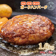 【ふるさと納税】豚肉ハンバーグ国産冷凍小分け200g8個1.6kg