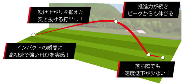 【ふるさと納税】 ゴルフボール Kasco Ace 1ダース ゴルフ キャスコエース 12球入 3ピース 2コア 1カバー