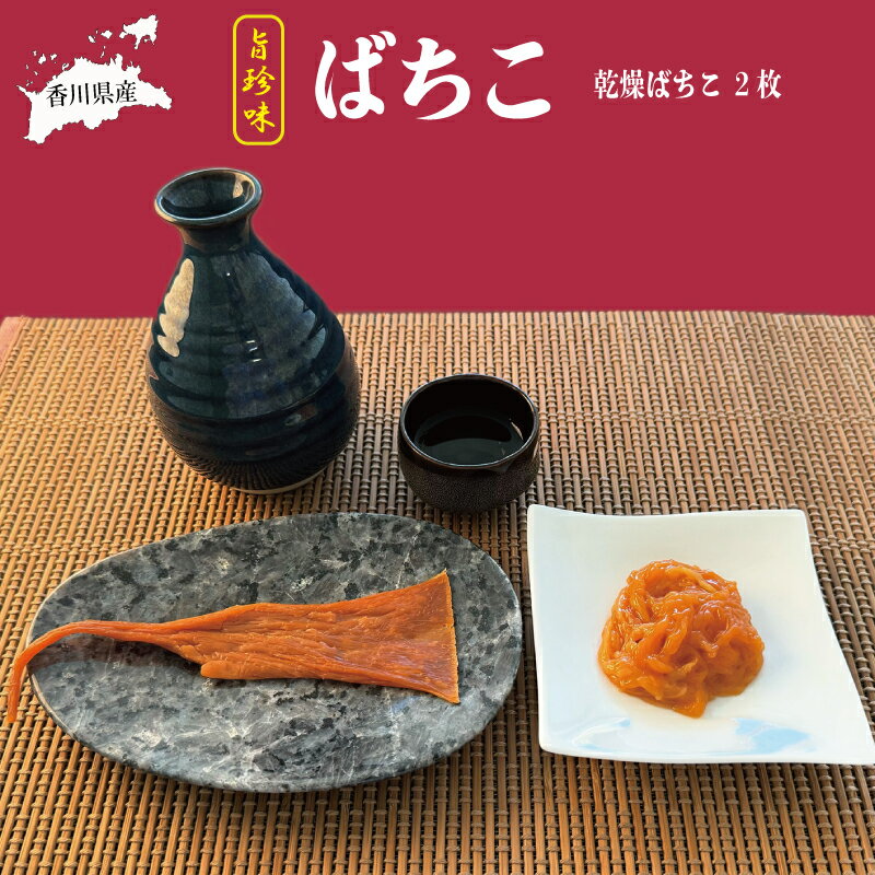 酒 酒の肴 お酒 おつまみ ばちこ バチコ 生ばちこ 干しばちこ ギフト 父の日 母の日 贈り物 プレゼント お取り寄せ グルメ 炙り 干物 高級 旨 珍味 国産 このわた なまこ ナマコ たまご 卵 くちこ このこ 生 冷凍 香川県 さぬき