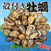 【ふるさと納税】訳あり牡蠣国産４kg不揃い殻付き牡蠣新鮮産地直送