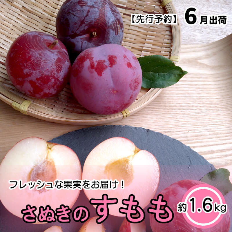 【ふるさと納税】 スモモ 李 桃 もも 約1.6kg フルーツ モモ 先行予約 品種おまかせ 2024年6月発送