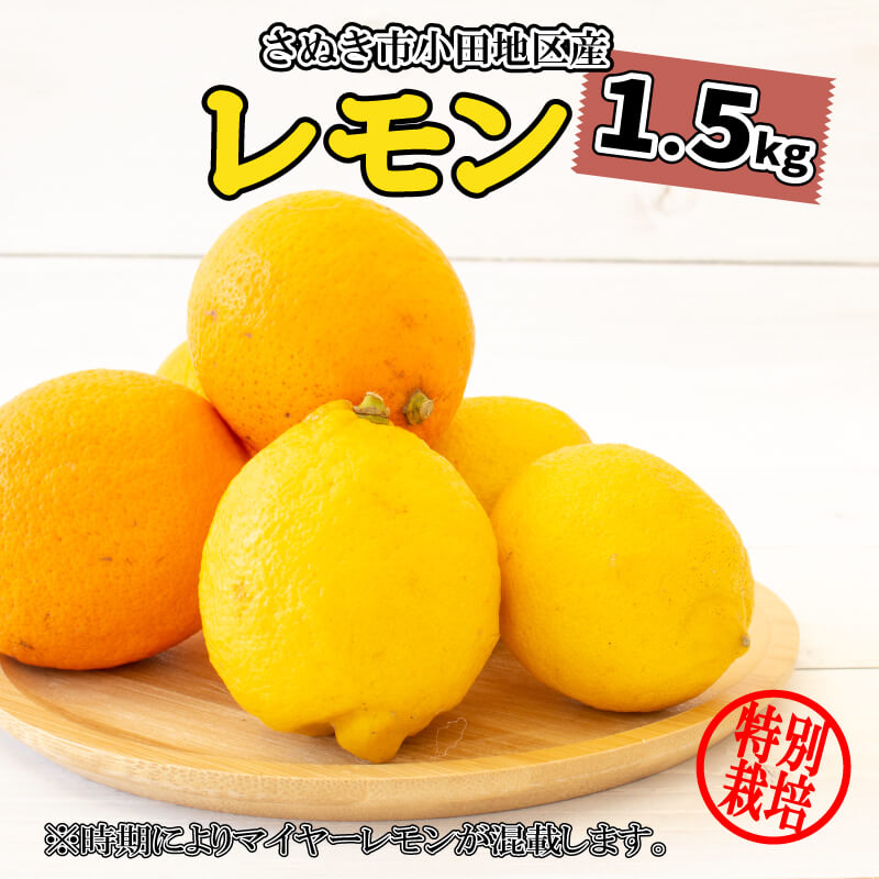 レモン 国産 檸檬 マイヤーレモン 詰合せ 1.5kg