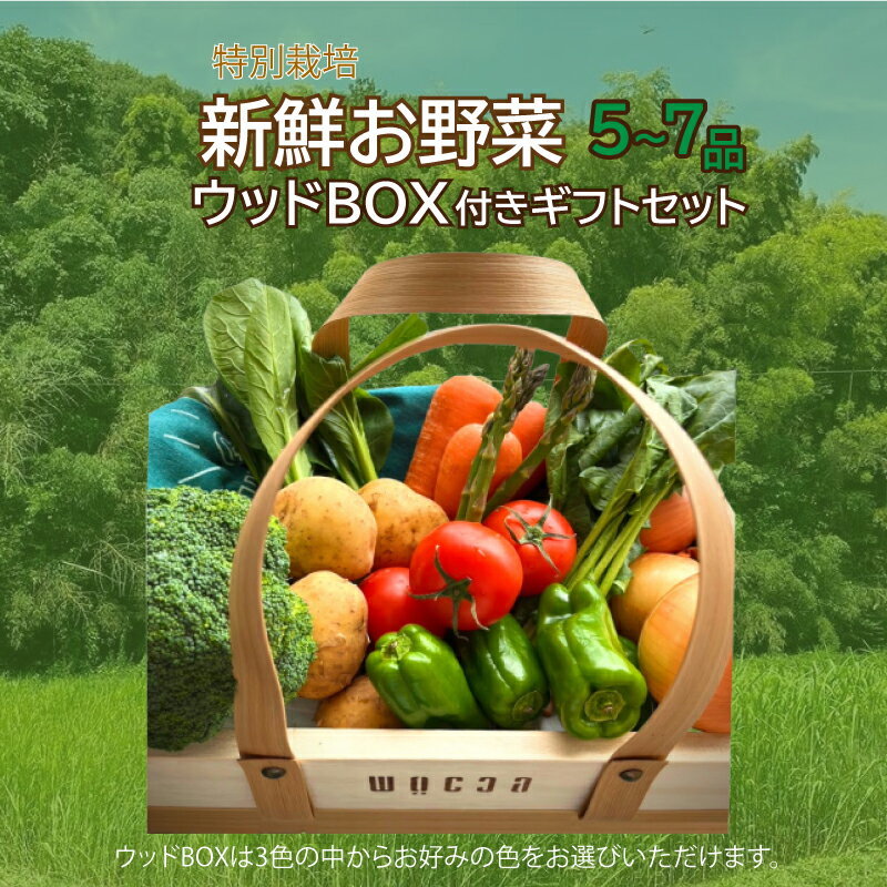 野菜 セット 詰め合わせ ギフト ウッド BOX 農家直送 特別栽培 旬のお野菜 5〜7品