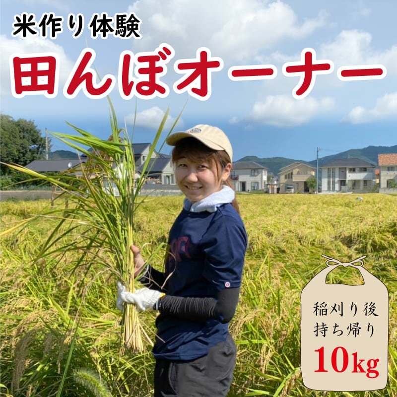 米作り 体験 田植え 稲刈り 田んぼオーナー