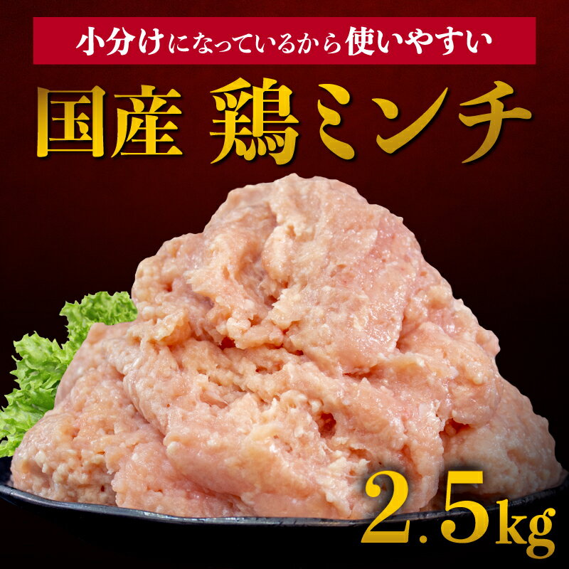 【ふるさと納税】 鶏肉 鶏ミンチ 冷凍 むね肉 国産 ひき肉 2.5kg 500g × 5袋 小分け