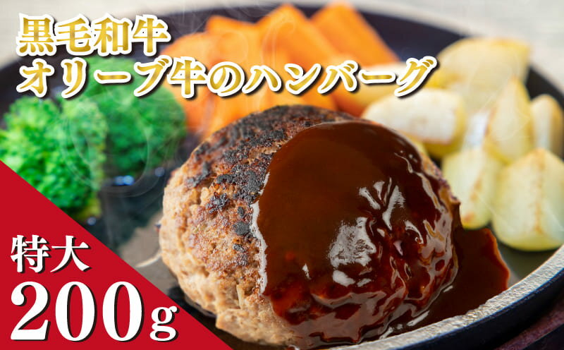 【ふるさと納税】 牛肉 ロース カルビ 焼肉 ハンバーグ 国産 黒毛和牛 A5 希少部位 タレ付き 冷凍 オリーブ牛