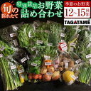 21位! 口コミ数「7件」評価「4.43」特別栽培 旬の採れたて お野菜 12~15種類詰め合わせセット TAGATAME タガタメ【野菜 特別栽培 大容量 有機野菜 農薬不使用 採れたて さぬき市】