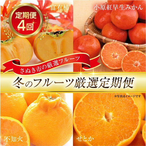 【ふるさと納税】【定期便全4回】さぬき市冬のフルーツ厳選定期便【旬 人気 果物 くだもの 香川県 さぬき市】 【ふるさと納税】【定期便全4回】さぬき市冬のフルーツ厳選定期便【旬 人気 果物 くだもの 香川県 さぬき市】