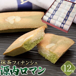 【ふるさと納税】源内ロマン 12個【抹茶 フィナンシェ スイーツ ギフト さぬき 志度 風月堂】