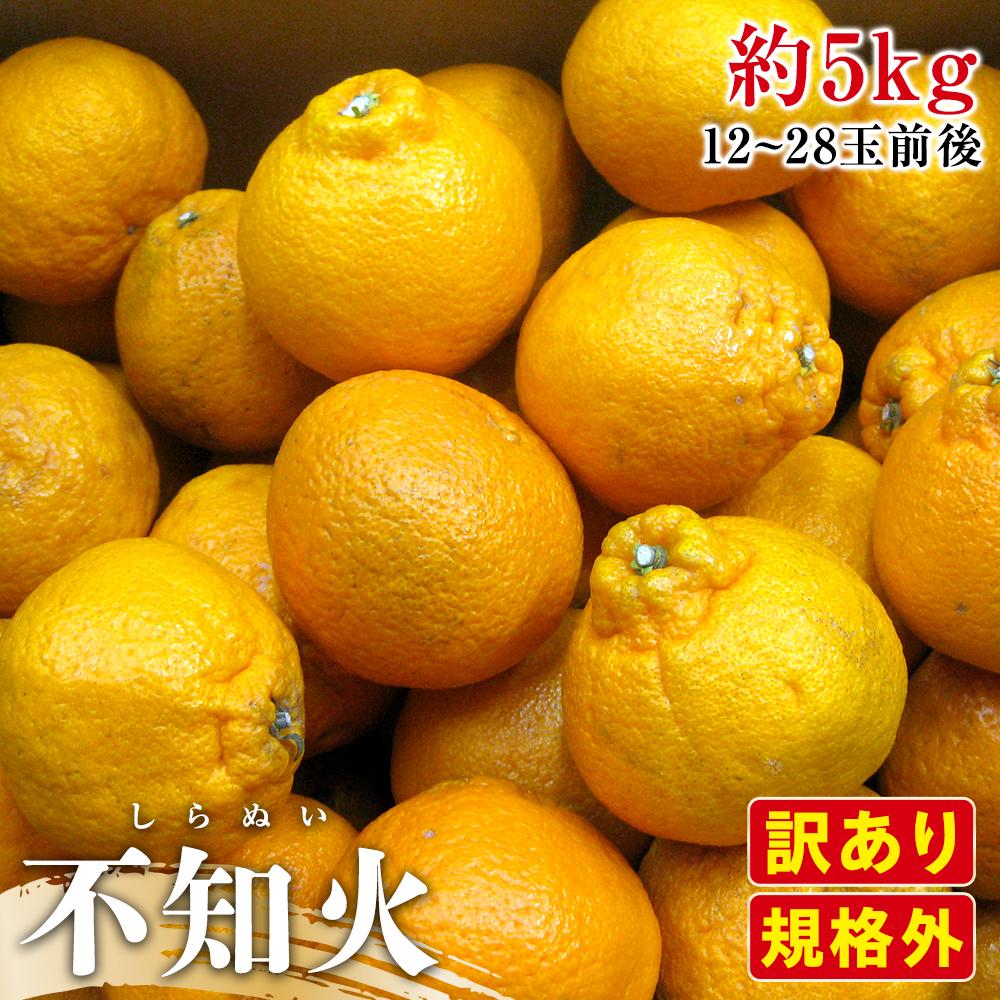 【ふるさと納税】【3月上旬頃～発送】訳あり 規格外 不知火 (しらぬひ) 約5kgのサムネイル