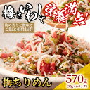 【ふるさと納税】梅 ちりめん 570g(95g×6)【ちりめんじゃこ しらす 小分け 便利 お取り寄せ グルメ 香川県 さぬき市】