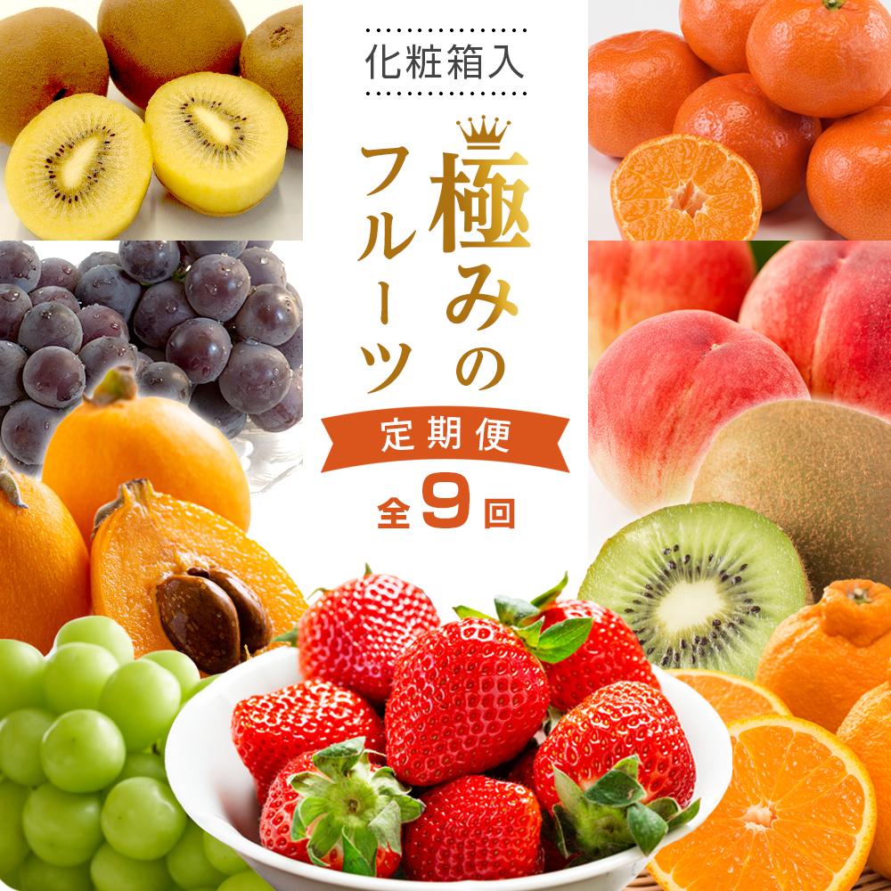 【ふるさと納税】【全9回】極みのフルーツ定期便 (化粧箱入り)