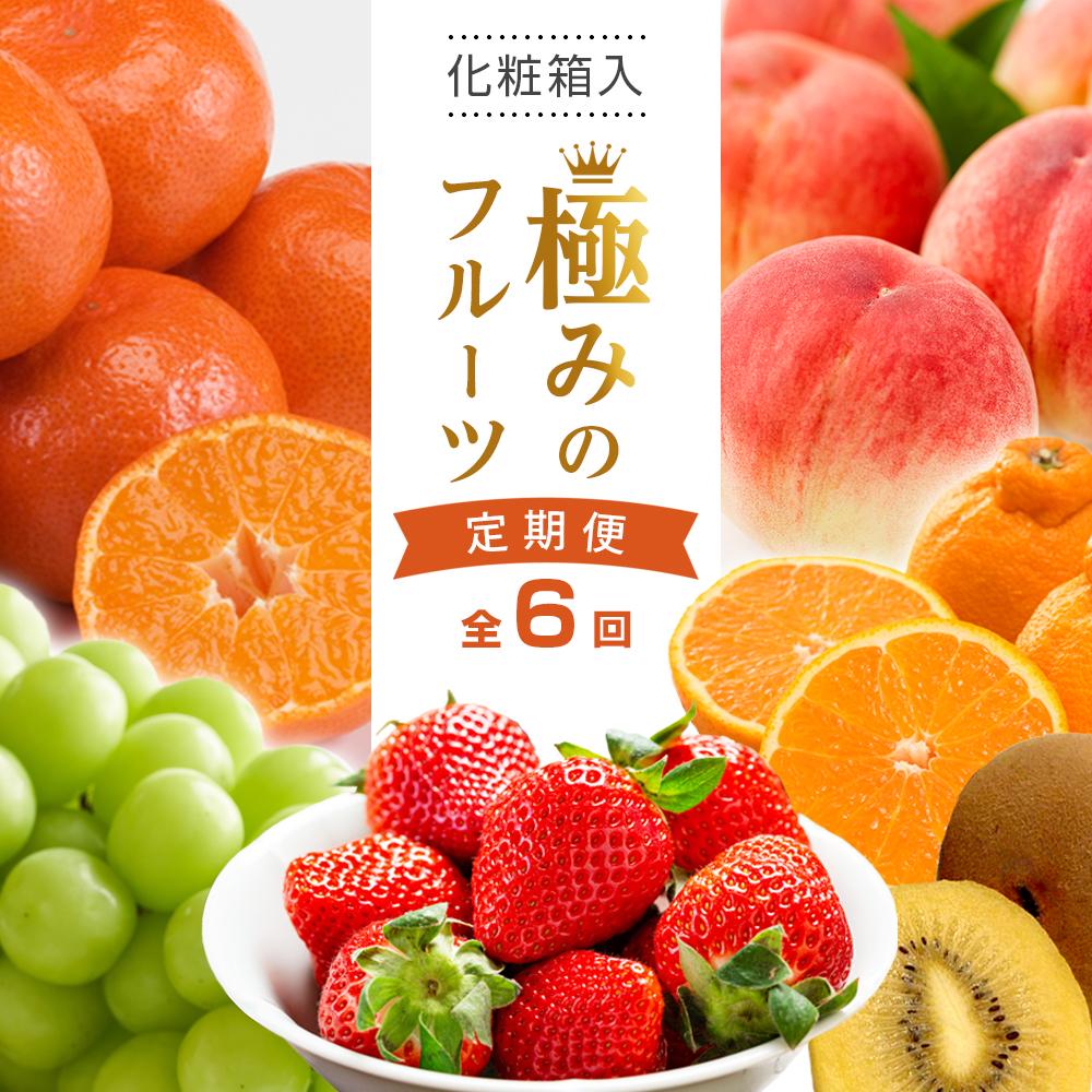 【ふるさと納税】【全6回】極みのフルーツ定期便 (化粧箱入り)