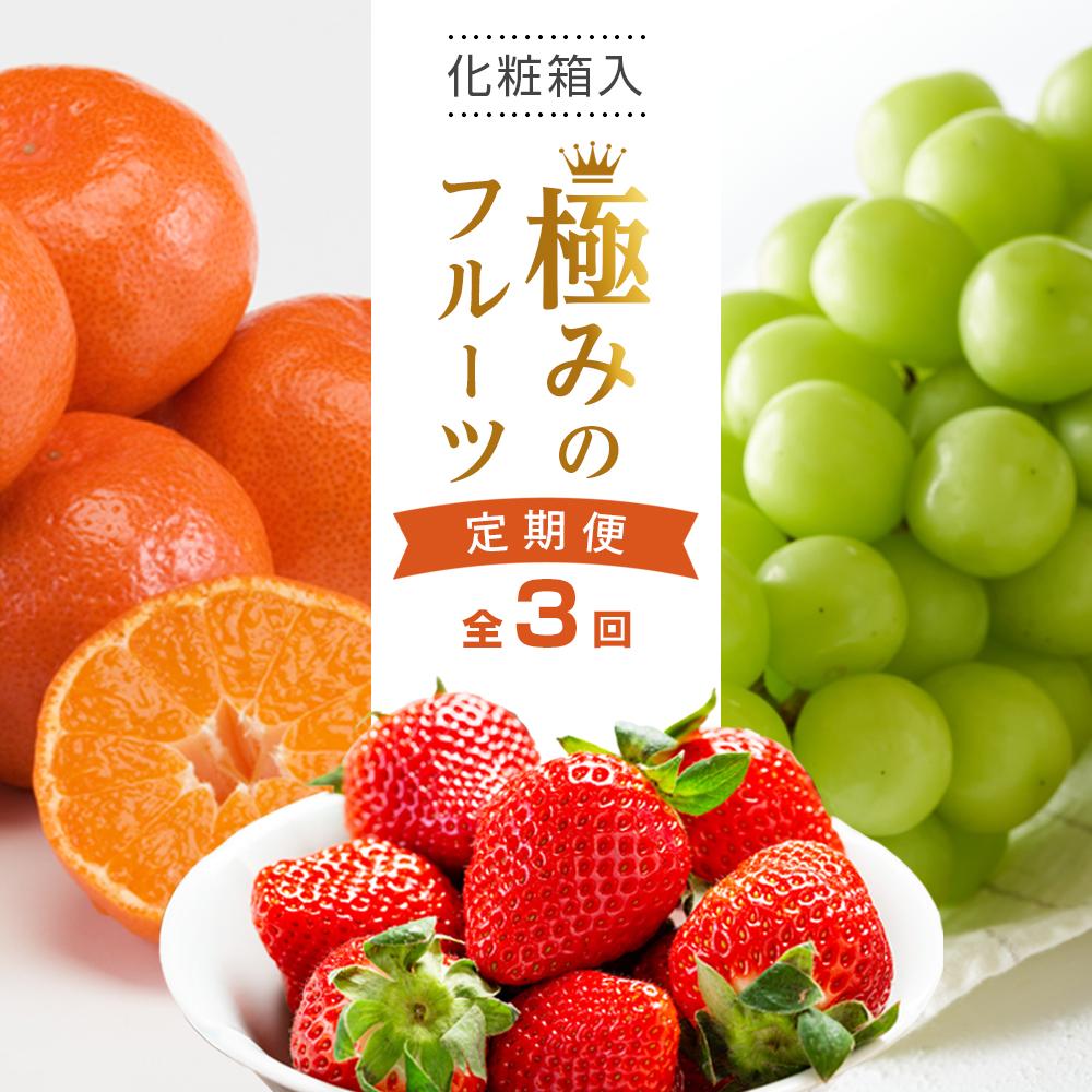 【ふるさと納税】【全3回】極みのフルーツ定期便 (化粧箱入り)