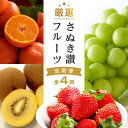 【ふるさと納税】【全4回】厳選さぬき讃フルーツ定期便 | くだもの 果物 フルーツ 定期便 いちご シャインマスカット ゴールドキウイ みかん 特産品 デザート|詳細画像