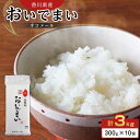 【ふるさと納税】香川県産 おいでまいオコメール 3kg (300g (約2合) 10個セット)【お米 米 国産米 少量パック 香川 さぬき市】