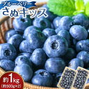 【ふるさと納税】ブルーベリー さぬキッス 約1kg (約500g×2)
