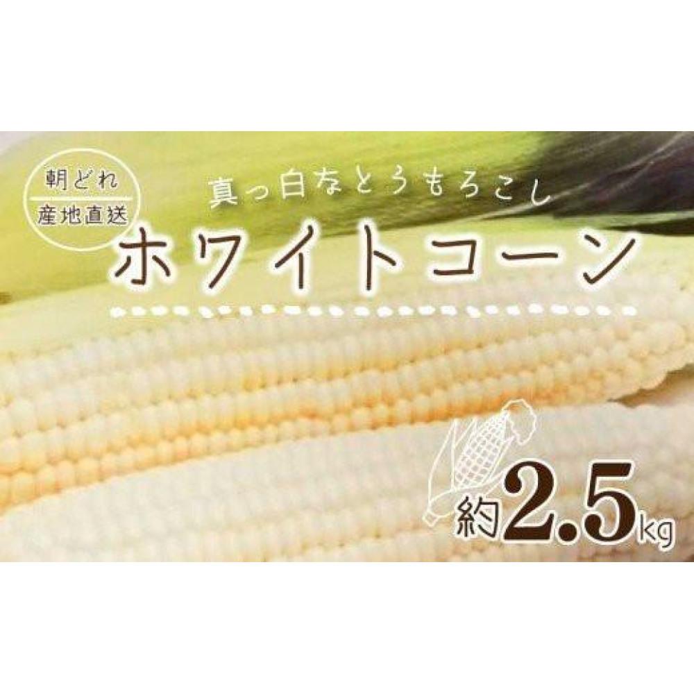 【ふるさと納税】【6月上旬頃~発送】朝採れ とうもろこし ホワイトコーン 約2.5kg (6~10本前後) 甘い 夏 野菜 香川県 国産