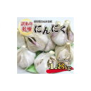 【ふるさと納税】【6月上旬頃~発送】【訳あり】にんにく 国産 乾燥にんにく 1.8kg (バラ詰め)