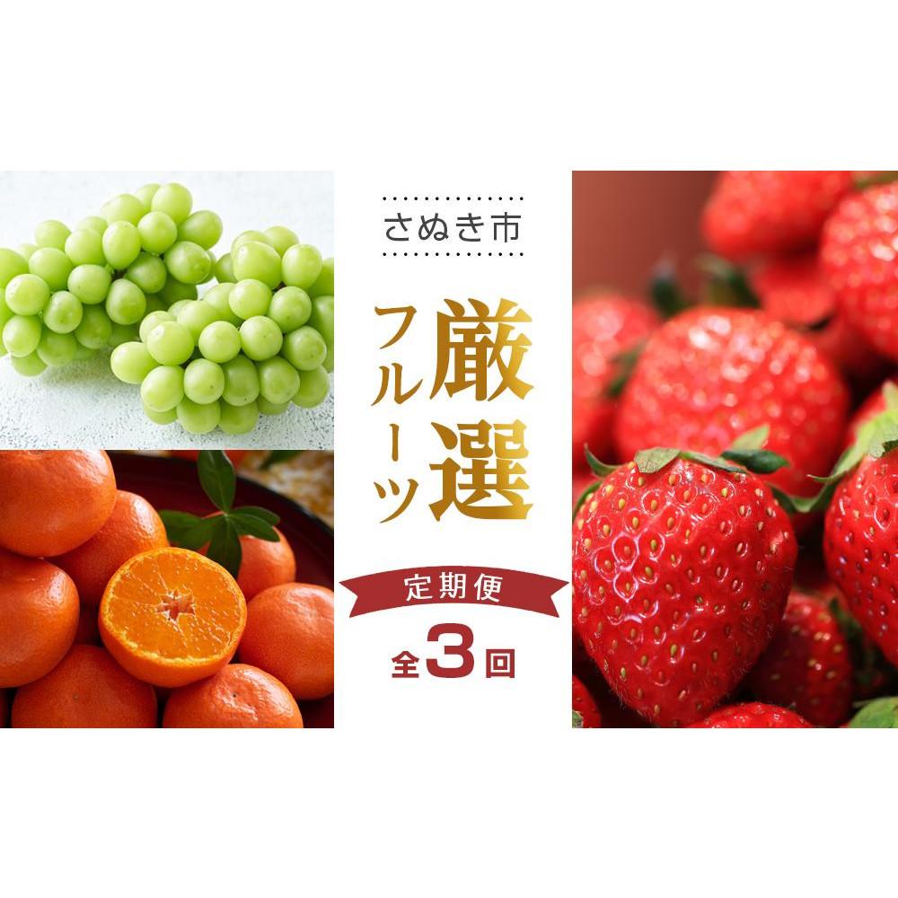 【ふるさと納税】【全3回】さぬき市厳選フルーツ定期便