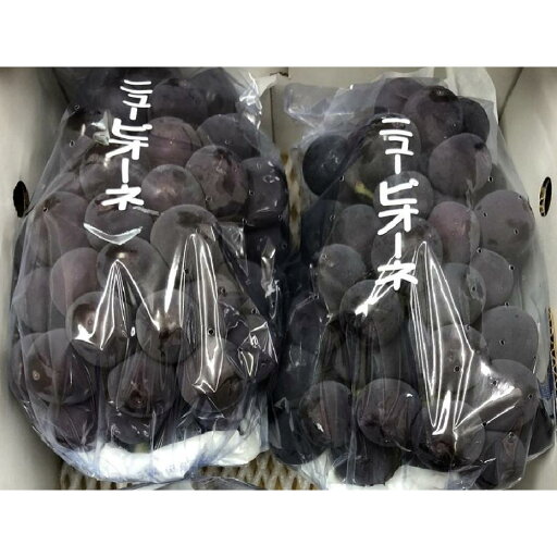 【ふるさと納税】【7月上旬頃~発送】ピオーネ ぶどう 葡萄 約1kg (2房) 【ふるさと納税】【7月上旬頃~発送】ピオーネ ぶどう 葡萄 約1kg (2房)