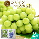 【ふるさと納税】【7月下旬頃〜発送】シャインマスカット 約1kg (2房) 化粧箱入り