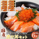【ふるさと納税】オリーブサーモン漬け丼セット 60g×6パック 冷凍【サーモン 漬け 海鮮 丼 漬け丼 国産 香川県 讃岐 さぬき】
