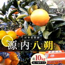 【ふるさと納税】【3月中旬頃~発送】八朔 約10kg 宮本果樹園 源内八朔 | はっさく 八朔 源内八朔 くだもの 果物 フルーツ 柑橘 みかん 旬 期間限定