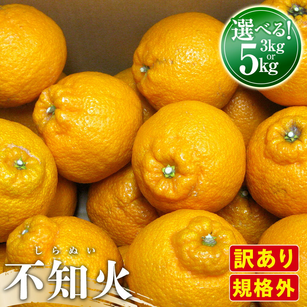 【ふるさと納税】【2月下旬頃〜発送】訳あり 規格外 不知火 (しらぬひ) ★選べる内容量★ | しらぬい 訳あり 不知火 くだもの 果物 フルーツ 柑橘 みかん...
