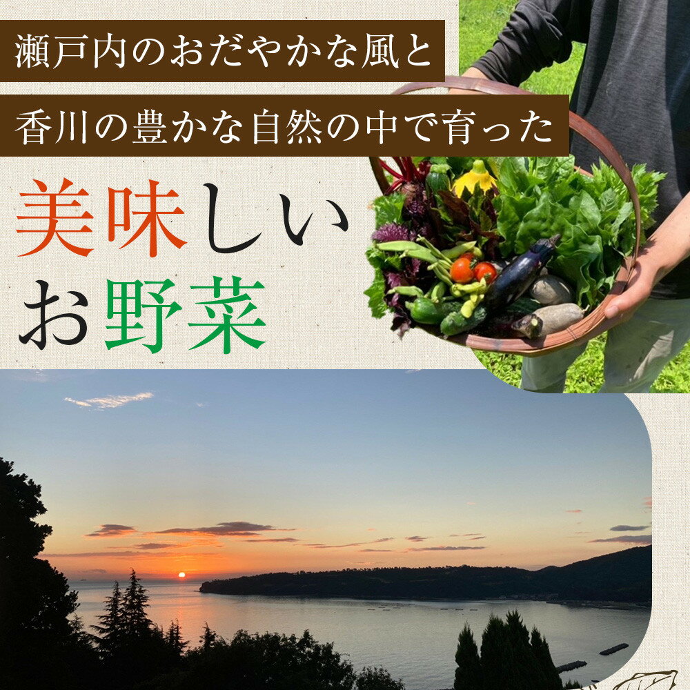 香川県さぬき市　ふるさと納税の画像2