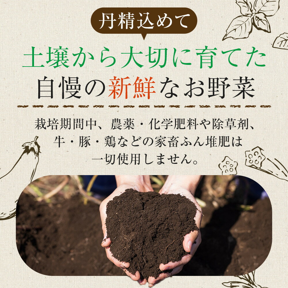 香川県さぬき市　ふるさと納税の画像3