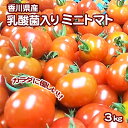 【ふるさと納税】令和元年初物「はなまる農園のミニトマト3kg」(配送不可:北海道・沖縄県・離島地域)　【野菜・ミニトマト・トマト】　お届け：2019年11月20日〜2020年9月30日