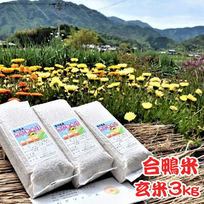 【ふるさと納税】香川県産コシヒカリ（自然農法 合鴨米 3kg）玄米　【お米・コシヒカリ】