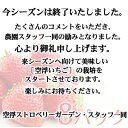 【ふるさと納税】空浮いちご 8パック※クレジット限定 【いち