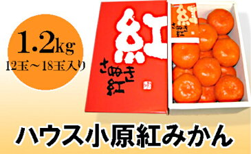 【ふるさと納税】ハウス小原紅早生みかん（さぬき紅）約1.2kg　【みかん・柑橘類・果物類・フルーツ】　お届け：2020年6月下旬〜7月下旬