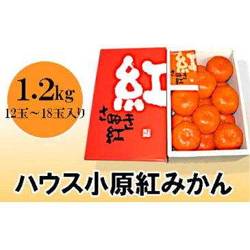 【ふるさと納税】ハウス小原紅早生みかん（さぬき紅）約1.2kg　【みかん・柑橘類・果物類・フルーツ】　お届け：2020年6月下旬〜7月下旬