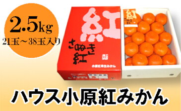 【ふるさと納税】ハウス小原紅早生みかん（さぬき紅）約2.5kg　【果物類・みかん・柑橘類・フルーツ】　お届け：2020年6月下旬〜7月下旬