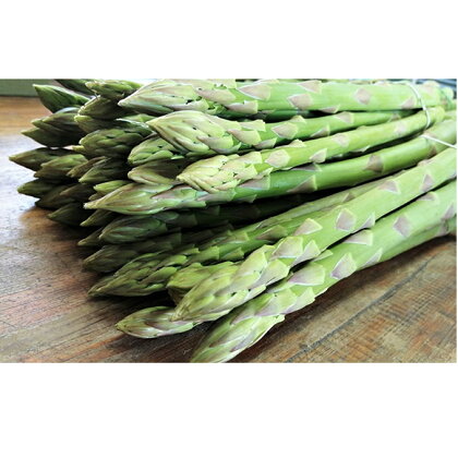 初植!初採SWANの特選アスパラ1kg 2Lサイズ【さぬきのめざめ】 【野菜・野菜セット・アスパラガス】 お届け:2020年5月中旬〜9月30日