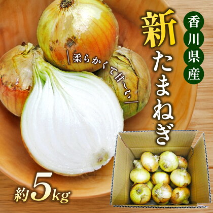 新たまねぎ　約5kg　【野菜・ねぎ】　お届け：2024年4月上旬から6月中旬まで