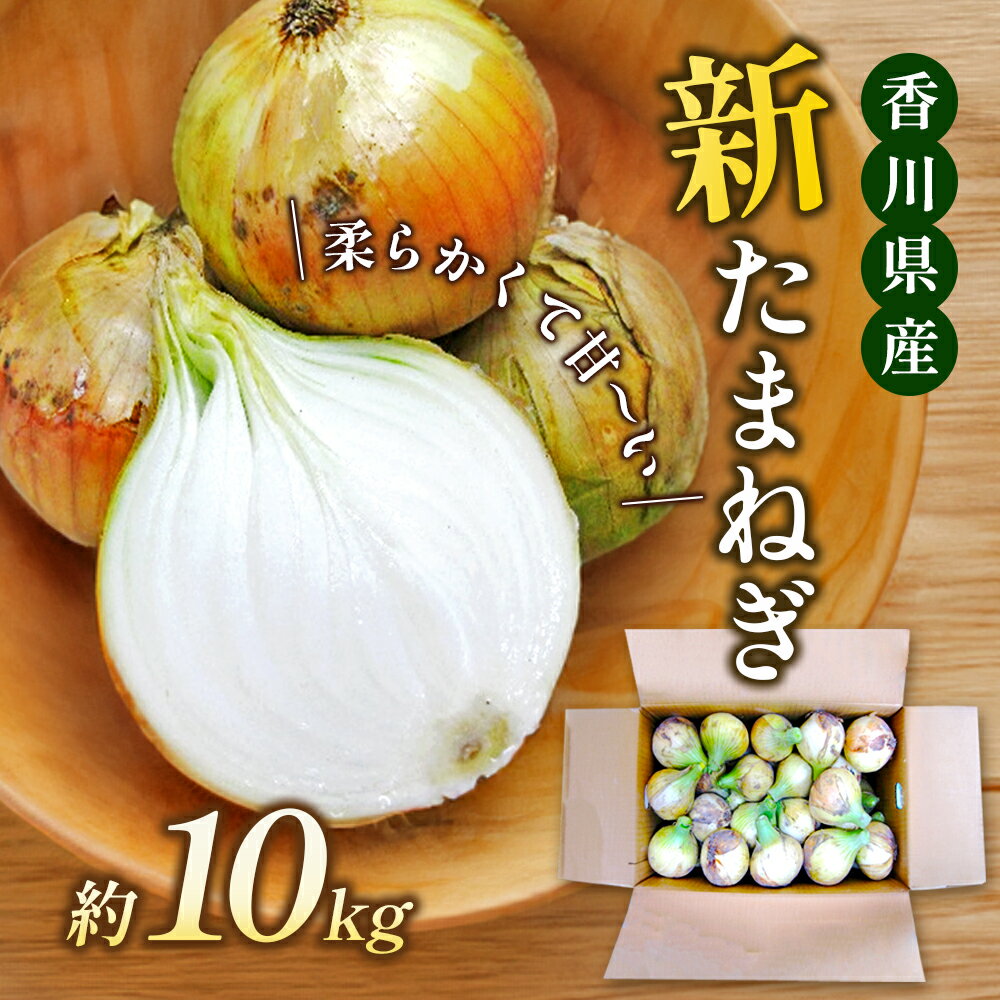 新たまねぎ 約10kg [野菜・イモ・野菜・ねぎ] お届け:2024年4月上旬〜6月中旬まで