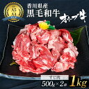 【ふるさと納税】香川県産黒毛和牛オリーブ牛「すじ肉 1kg」 お肉 牛肉 お届け:発送可能時期より順次発送予定